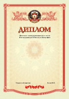 Диплом компании _1