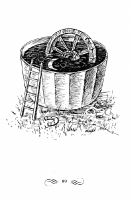 Книжная графика_2